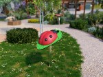 Q053 Ladybug Image for Website
